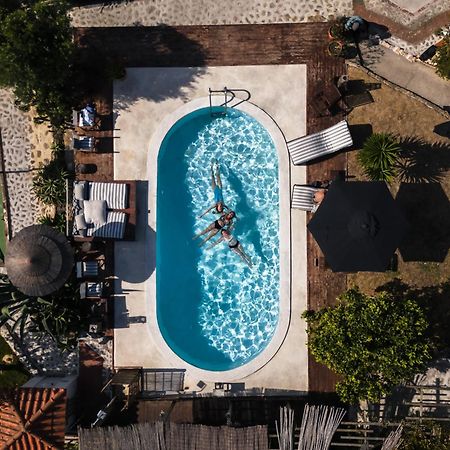 Joao Jungle Apartman Acafora Kültér fotó