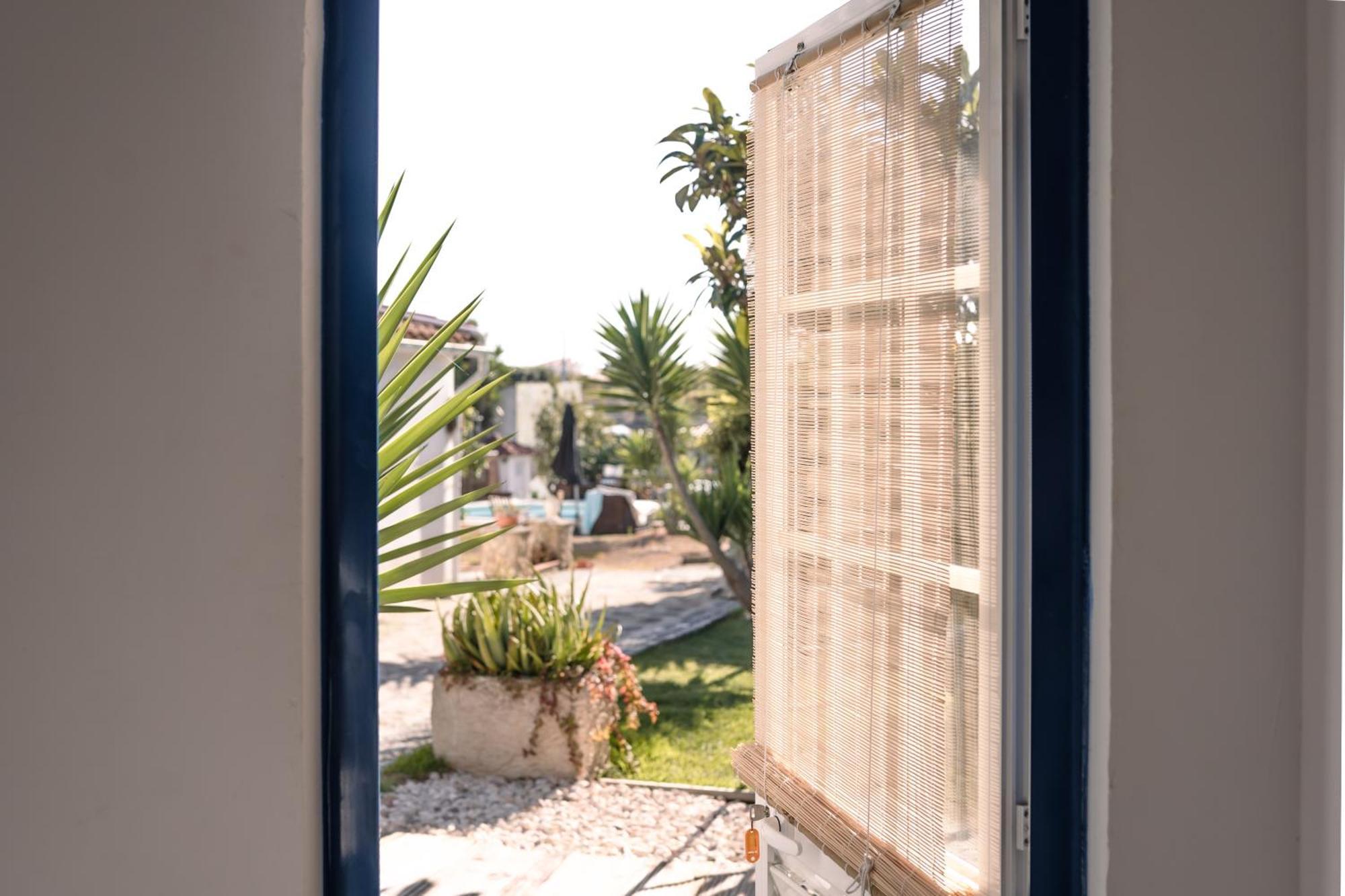 Joao Jungle Apartman Acafora Kültér fotó