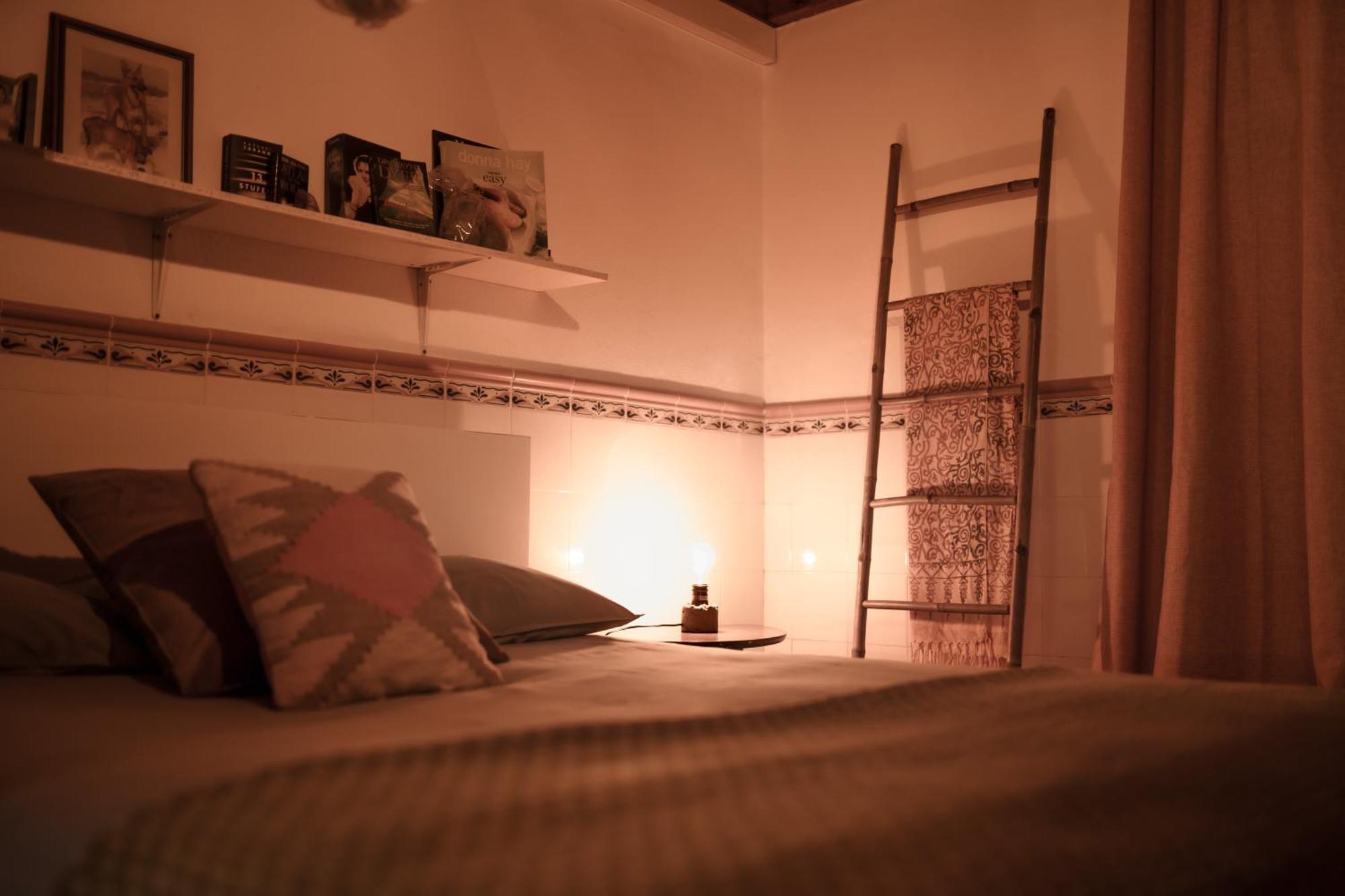Joao Jungle Apartman Acafora Kültér fotó