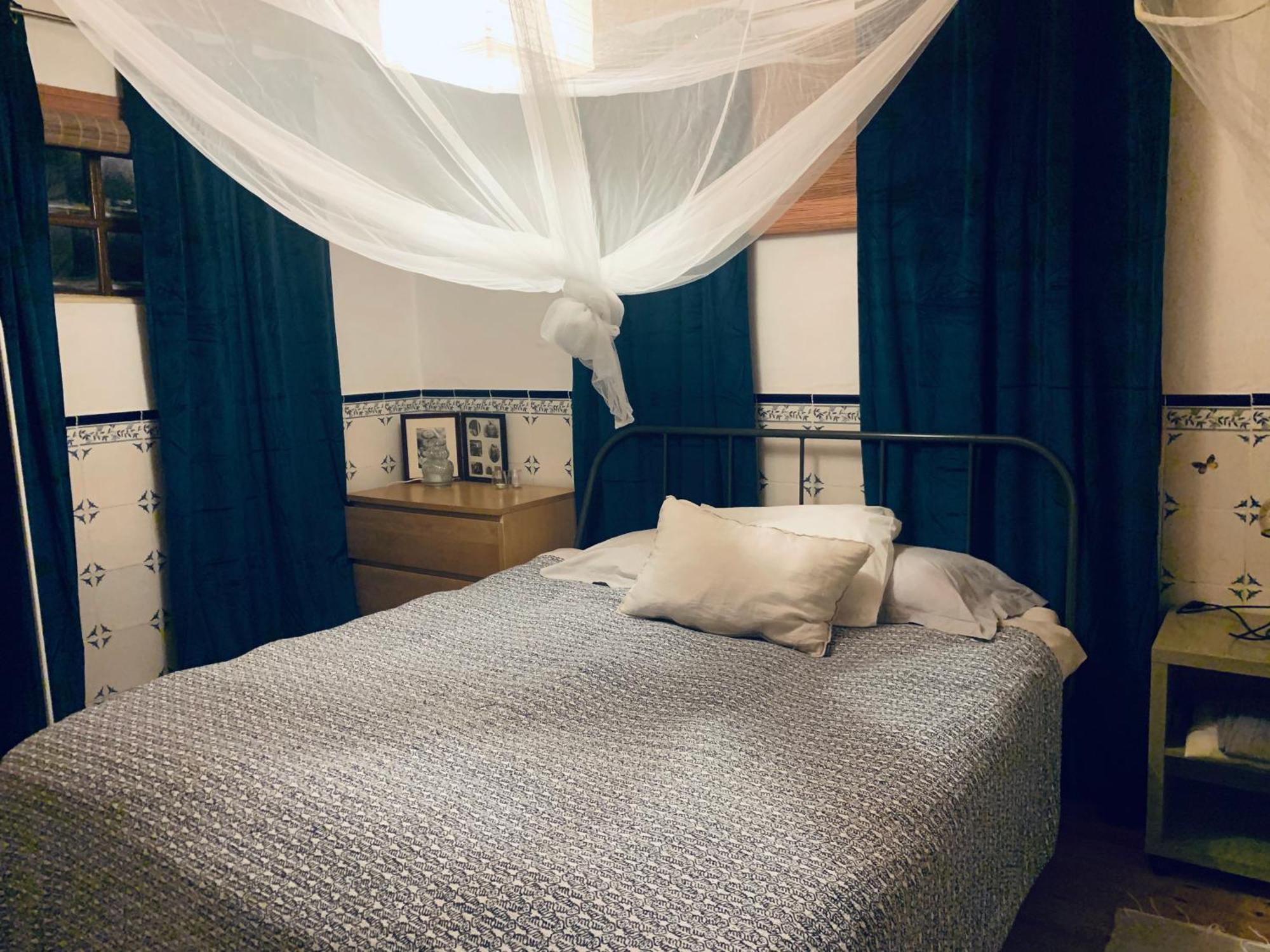 Joao Jungle Apartman Acafora Kültér fotó