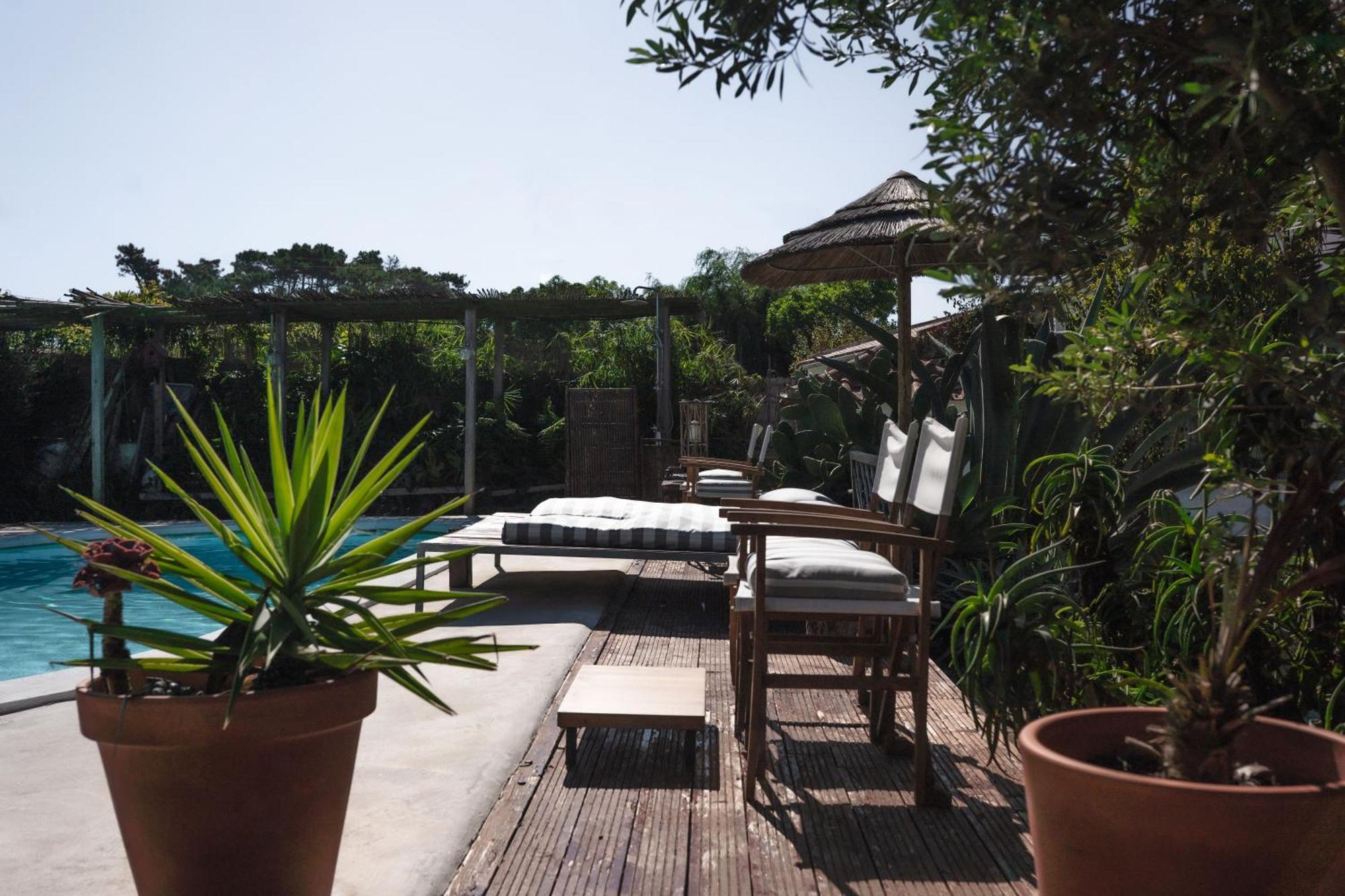 Joao Jungle Apartman Acafora Kültér fotó