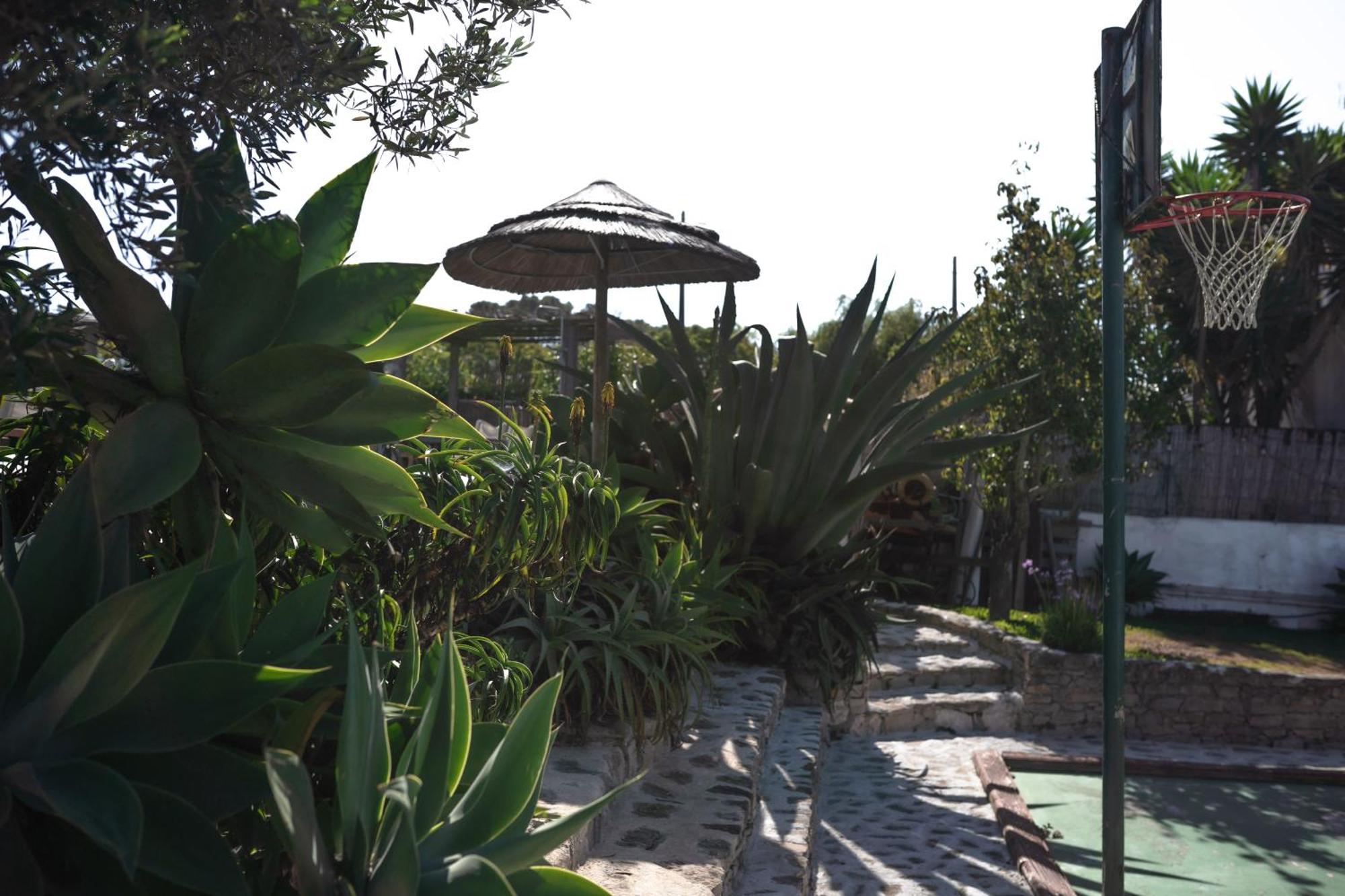 Joao Jungle Apartman Acafora Kültér fotó